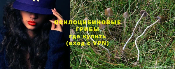 spice Волосово