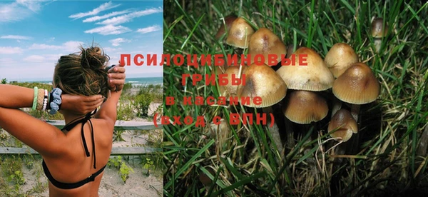 spice Волосово