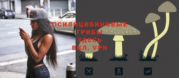 spice Волосово