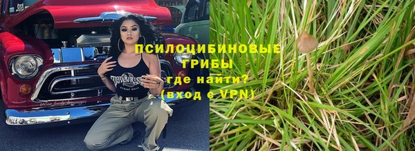 молекула духа Володарск
